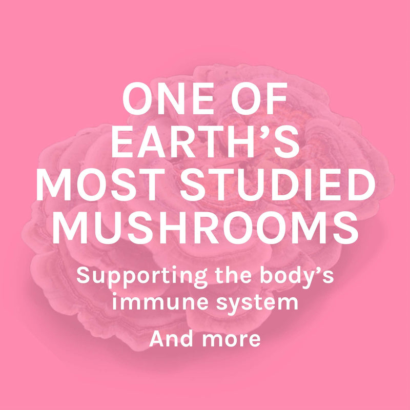 [Australia] - Host Defense, Turkey Tail Capsules, Natural Immune System and Digestive Support, Mushroom Supplement, Unflavored, 120 120 Capsules 