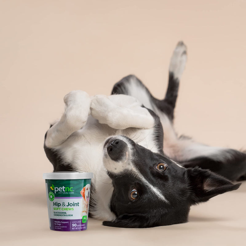 [Australia] - PetNC Natural Care Hip and Joint Soft Chews for Dogs, 90 Count 