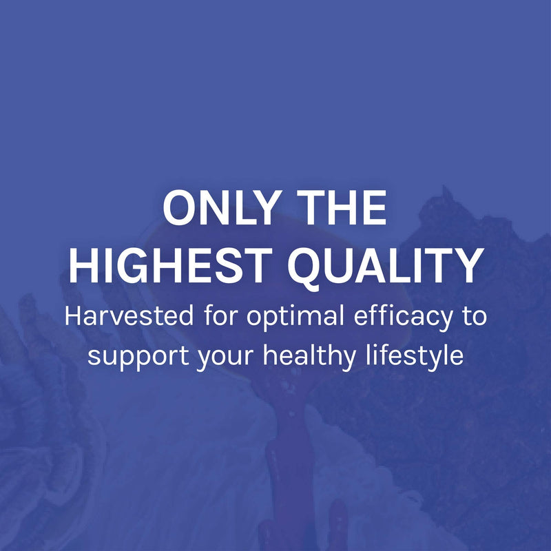 [Australia] - Host Defense, Stamets 7 Capsules, Daily Immune Support, Mushroom Supplement with Lion’s Mane, Reishi, Vegan, Organic, 120 Capsules (60 Servings) 120 Count (Pack of 1) Standard Packaging 