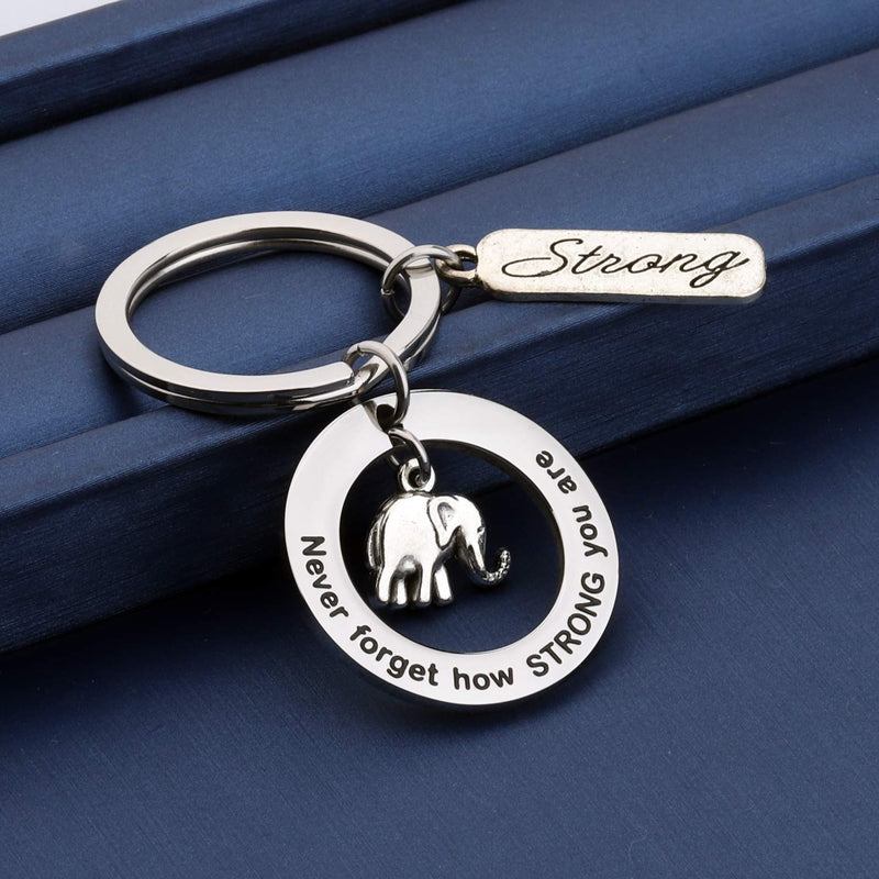[Australia] - MYOSPARK Elephant Keychain Don't Forget How Strong You Are Inspirational Gift For Graduate Elephant Lovers Elephant Keychain 7 