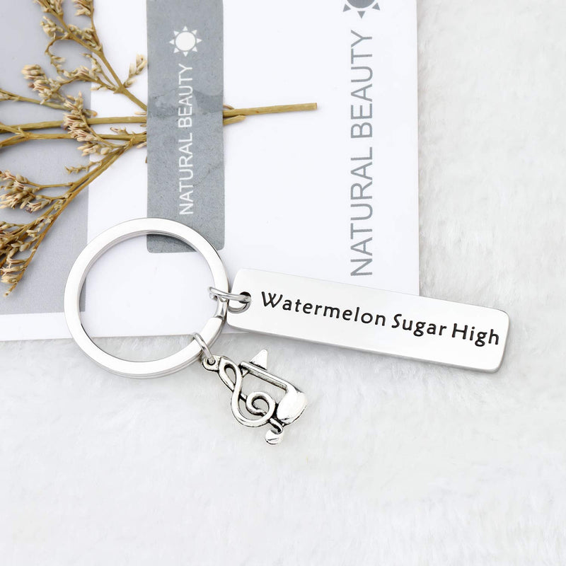 [Australia] - WSNANG Harry Styles Watermelon Sugar Lyrics Inspired Gift Watermelon Sugar High Keychain Harry Styles Fans Gift Watermelon KC 