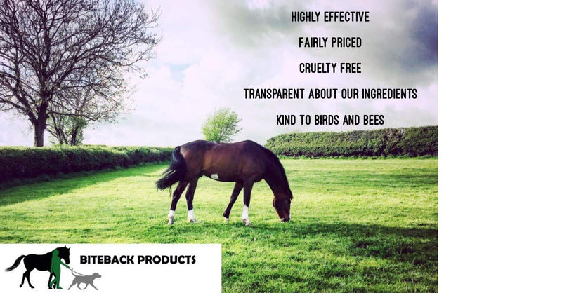 [Australia] - Biteback Products 'Quick-Silver' Cleanse & Protect Lotion For Horse & Dog Skin, 500ml 