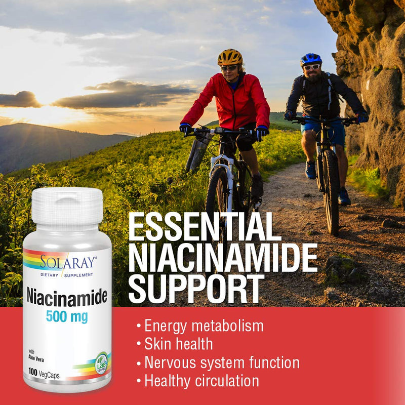 [Australia] - Solaray Niacinamide 500 mg | Vitamin B-3 | Energy Metabolism, Circulation, Nerve & Skin Health Support, 100 CT 100 Count (Pack of 1) 