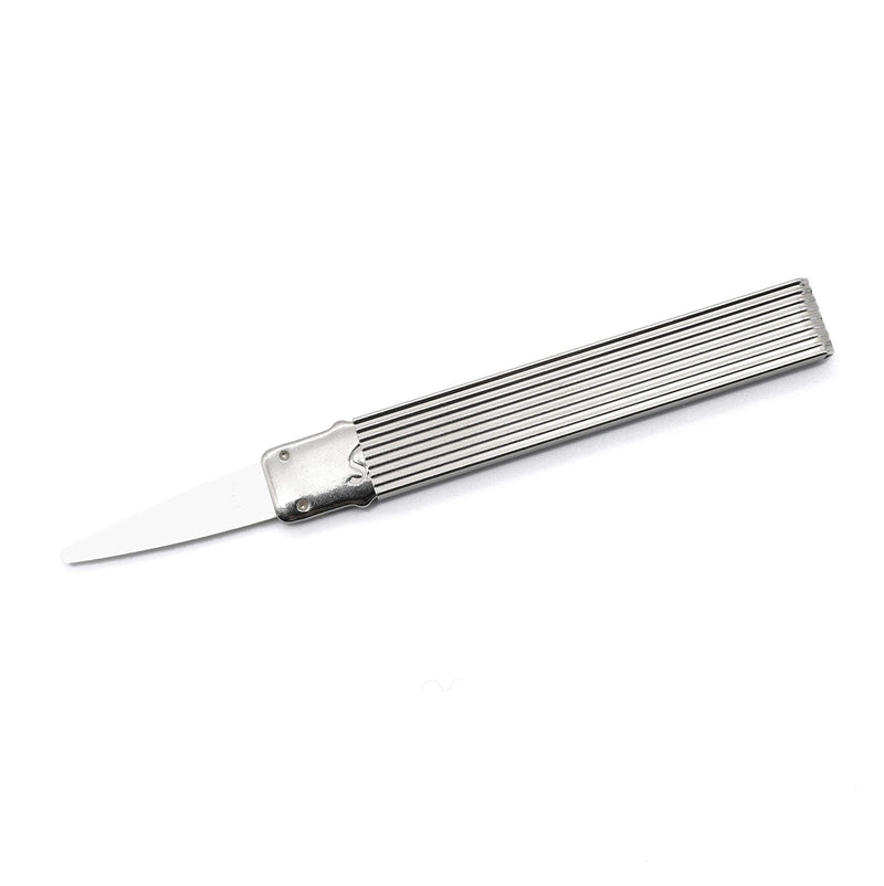 [Australia] - Tooth pick with flexible silver tip 2.36 inches. Removes perfectly food leftovers in the interdental spaces. 