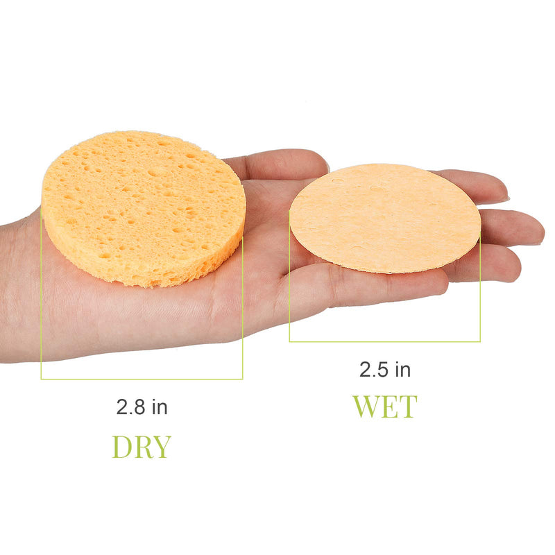 [Australia] - GAINWELL 50-Piece Compressed Natural Facial Sponges with Storage Container 