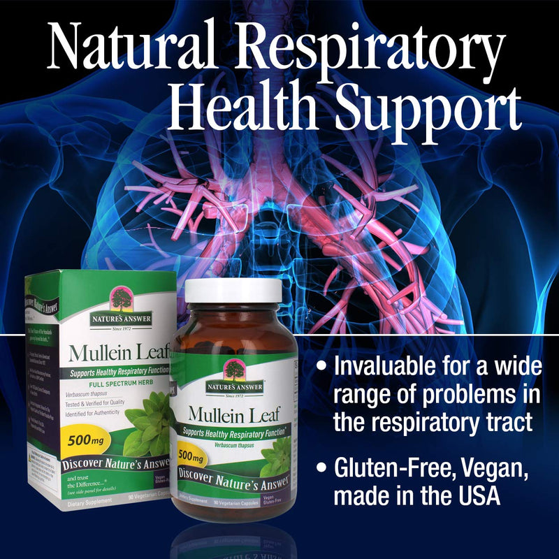 [Australia] - Nature's Answer Mullein Leaf Verbascum Thapsus 500mg | Herb Ideal for Immune and Inflammation | Full Spectrum Herb | Supports Healthy Respiratory Function | Gluten-Free, Vegetarian/Vegan 90 Capsules 
