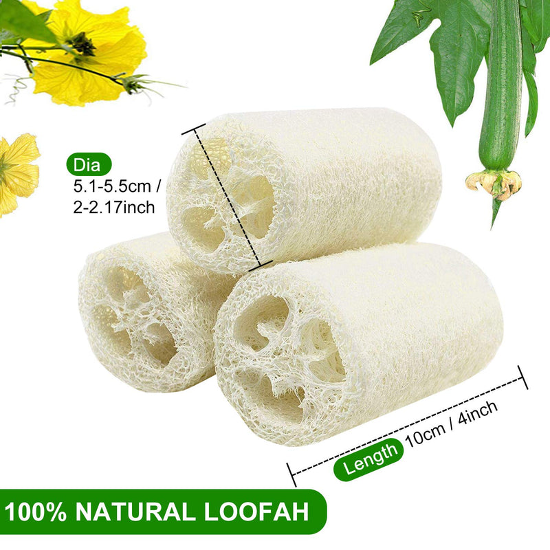 [Australia] - 6 Pcs Natural Loofah, Exfoliating Luffa Natural Loofah Sponge Body Scrubber For Bathing And Back Caring Spa, 4 Inch Length Organic Loofah Loofahs Sponges For Shower Scrubbing And Kitchen Cleaning 