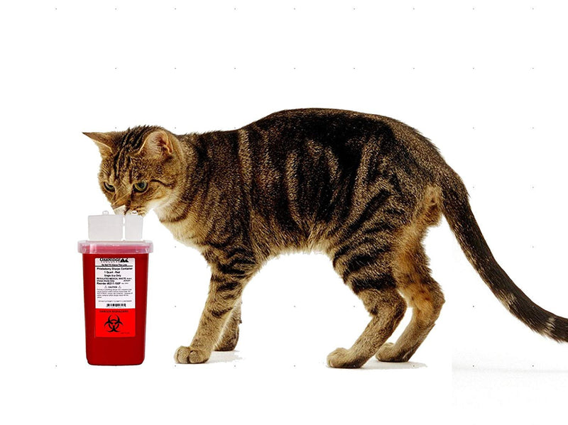 [Australia] - Oakridge Products 1 Quart size Sharps and Needle Container. Integrated needle unwinder 