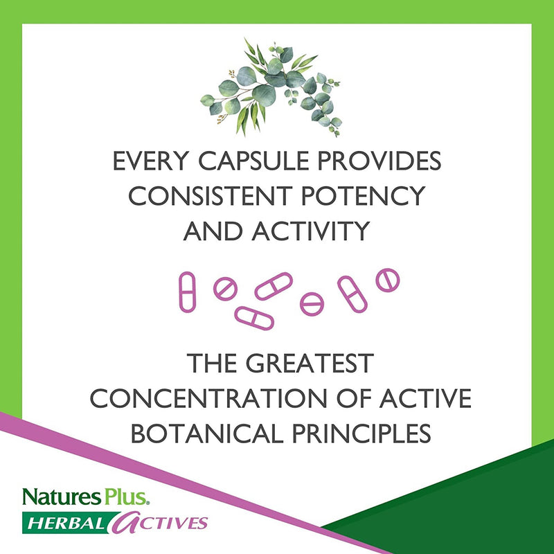 [Australia] - NaturesPlus Herbal Actives Red Yeast Rice 600mg - Normal Blood Cholesterol Levels, Easy to Swallow Herbal Supplement - Vegetarian, Gluten Free - 120 Capsules 