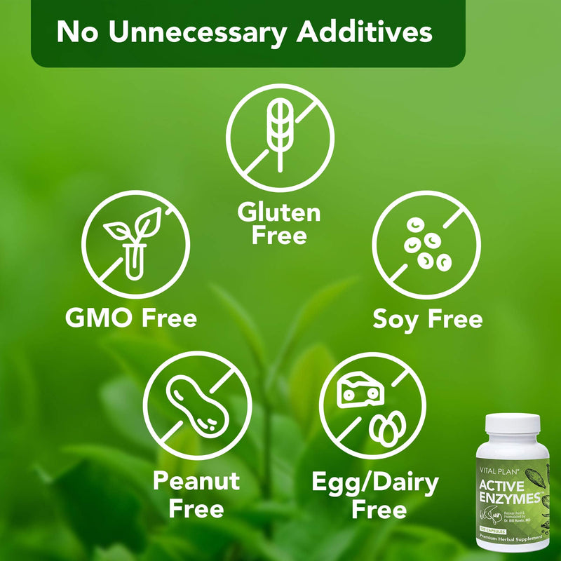 [Australia] - Vital Plan Active Enzymes Supplement by Dr. Bill Rawls - Digestive Enzymes for Gut Health & Digestion - Protease, Bromelain, Lactase, Amylase & Lipase 