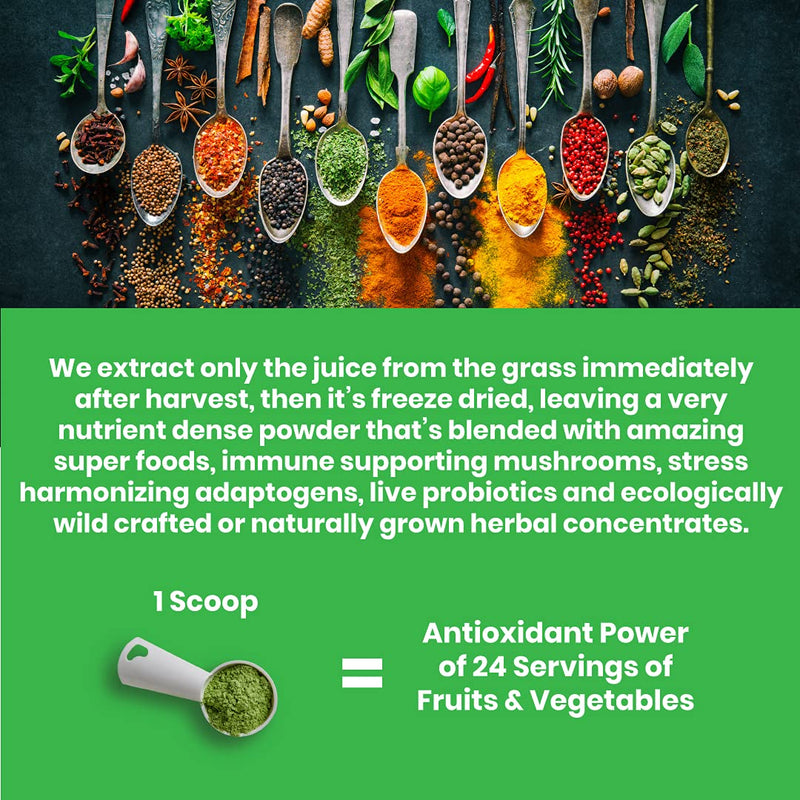 [Australia] - Paradise ORAC Energy Greens | Organic Alkalizing Grass Juice Powder Extracts | Organic Veggies and Berries, Adaptogens & Probiotics | Keto + Paleo + Vegan Friendly Green Superfoods |12.8 Ounces, 60 Servings 60 Servings (Pack of 1) 
