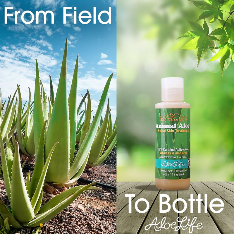 [Australia] - Aloe Life - Animal Aloe, Pet-Safe Digestive Aid & Skin Treatment Gel, Helps to Soothe Hotspots, Flea Bites & Irritation, Supports Your Pet’s Digestive Health & Overall Wellness, Fragrance-Free (4 oz) 