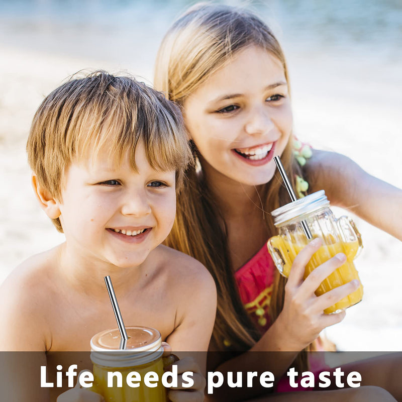 [Australia] - LessMo 12 Pcs Stainless Steel Straws, Reusable Metal Drinking Straws with 2 Cleaning Brush for Smoothie, Milkshake, Cocktail and Hot Drinks 