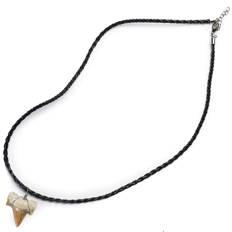 [Australia] - KALIFANO Fossilized Shark Tooth Necklace - Authentic Prehistoric Megaladon Teeth Fossil Pendant on 20" Inch Braided Leather Cord - Great Gift for Men and Boys (Information Card Included) 