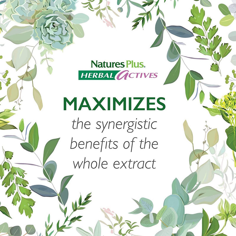 [Australia] - NaturesPlus Herbal Actives Red Yeast Rice 600mg - Normal Blood Cholesterol Levels, Easy to Swallow Herbal Supplement - Vegetarian, Gluten Free - 120 Capsules 