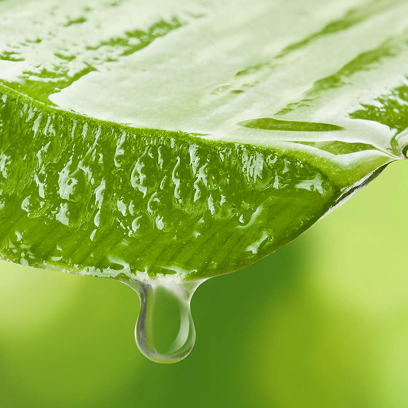 [Australia] - Mylee Pure Aloe Vera Soothing Gel After Care Waxing Hair Removal Depilation Wax Skin Treatment After Sun 500 ml 