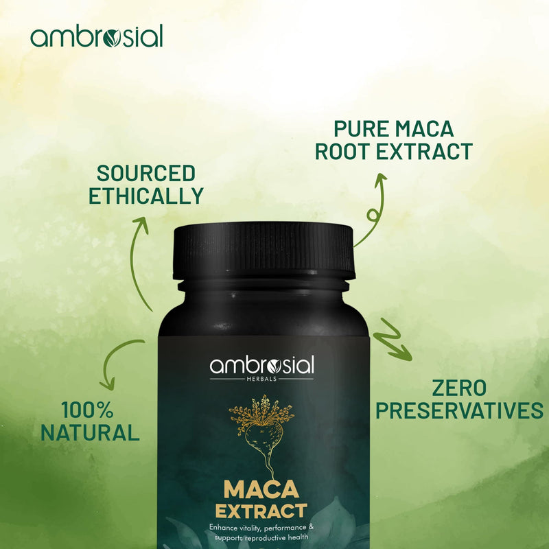 [Australia] - Ambrosial Maca Root Capsules for Women & Men | High Strength 500 mg Maca Powder per Capsule | Supports Building Stamina & Energy (Pack of 2-120 Capsules) 60 count (Pack of 2) 