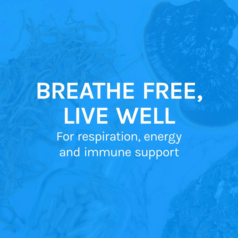 [Australia] - Host Defense, Breathe Capsules, Respiratory Support, Mushroom Supplement with Cordyceps, Reishi and Chaga, Unflavored, 60 60 Count (Pack of 1) Standard Packaging 