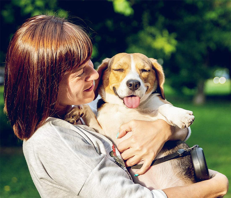 [Australia] - Fluffy Animal Eye Mask for Sleeping - (Beagle) Adjustable Strap Sleep Mask Beagle 
