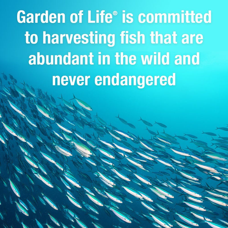 [Australia] - Garden of Life Ultra Pure EPA/DHA Omega 3 Fish Oil - Oceans 3 Beyond Omega 3 Supplement with Antioxidants, 60 Softgels 