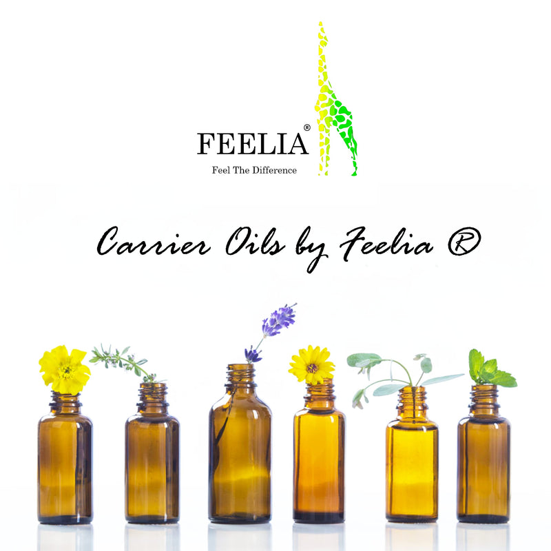 [Australia] - Feelia - Organic Sweet Almond Oil - Cold Pressed, Rich in Vitamins A, E, Zinc & Omega 3, Fast Absorbing, 100% Pure & Organic (100ml) 100 ml (Pack of 1) 