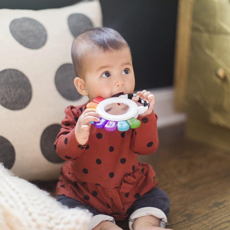 [Australia] - Baby Einstein, Outstanding Opus The Octopus, Sensory Rattle and Teether Multi-Use Toy, BPA Free and Chillable, 3 Months and up, 1pk Pink 