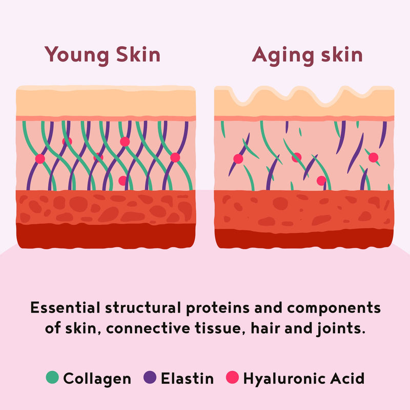 [Australia] - Collagen with Elastin and Hyaluronic Acid - Powder - Premium Hydrolysed Bovine Collagen Peptides Type I, II and III - Without Additives - Raspberry Flavour - 450 Grams 