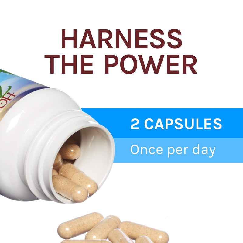 [Australia] - Host Defense, Breathe Capsules, Respiratory Support, Mushroom Supplement with Cordyceps, Reishi and Chaga, Unflavored, 60 60 Count (Pack of 1) Standard Packaging 