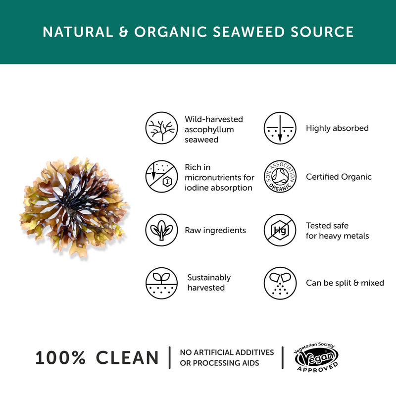 [Australia] - Organic Seaweed Iodine Supplement � Together Health � from Organic Seaweed � Natural Source of Iodine � Vegan Friendly � Made in The UK � 30 Vegecaps 30 Count (Pack of 1) 