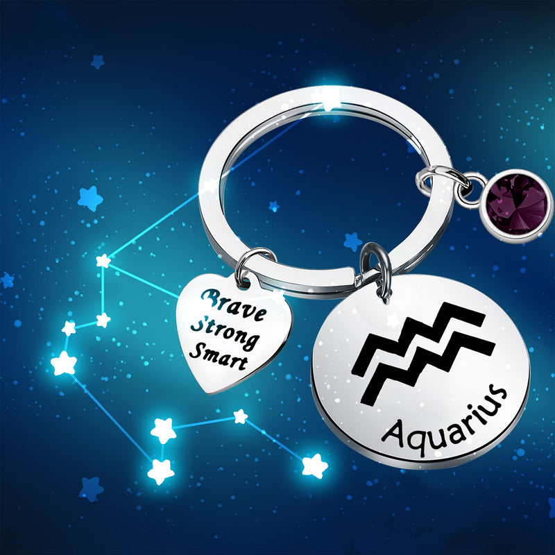 [Australia] - bobauna 12 Zodiac Constellation Disc Keychain Birthstone Horoscope Jewelry Astrology Gift for Family Friend Aquarius Keychain 