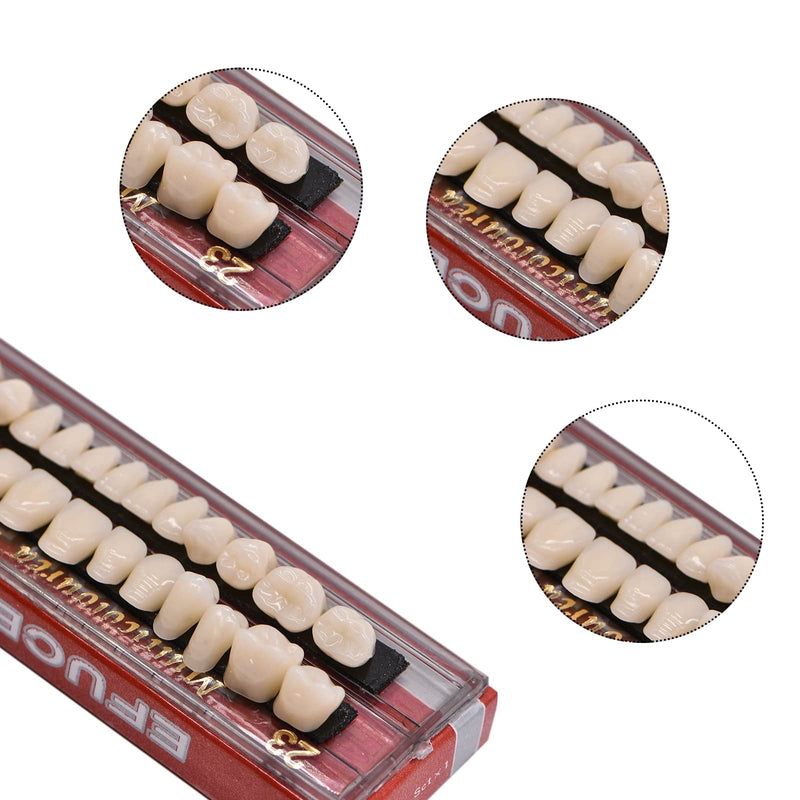 [Australia] - MIBICIRI 112PCS False Teeth, 4Set Dental Acrylic Resin Denture Tooth for Teaching Tools DIY Props Costume Party Ornament Supplies False Tooth for Halloween Horror Prop (23,A2) 