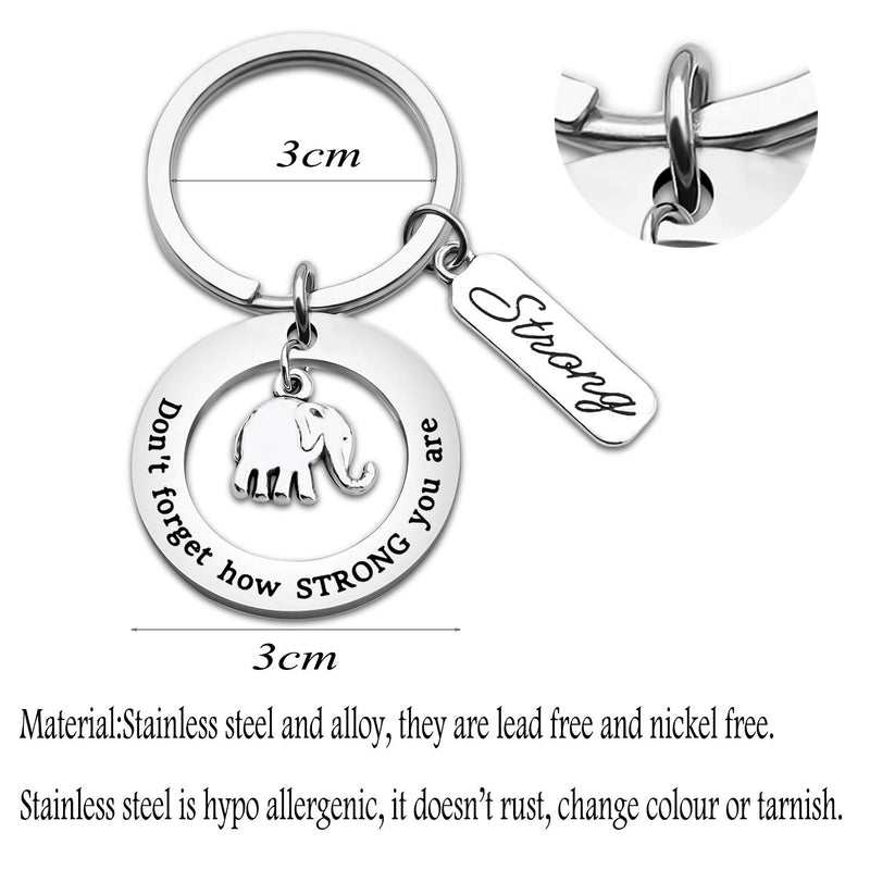 [Australia] - bobauna Elephant Keychain Don't Forget How Strong You are Strength Jewelry Uplifting Gift for Friend Family Animal Lovers elephant circle keychain 