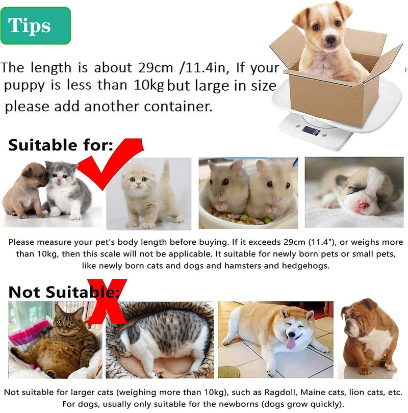 [Australia] - Digital Pet Weighing Scales Mini Cat Dog Scale, Multi-Function Puppy Scale, LCD Kitchen Scales Electronic Food Scales, Switchable g/lb/oz, Easy Clean for Hamster Bunny Bird Small Ainimal 10KG/22 lbs 