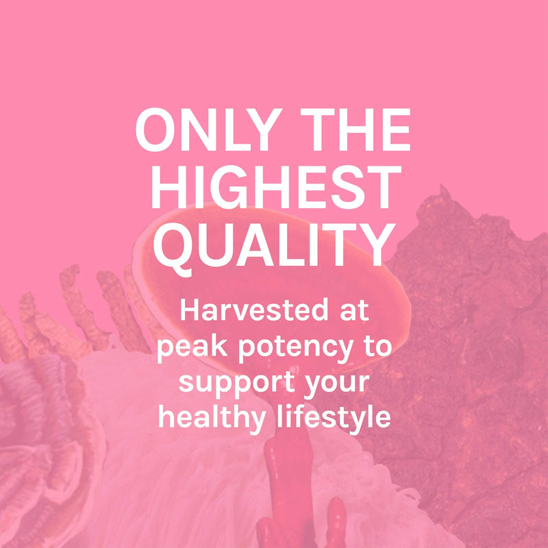 [Australia] - Host Defense, Turkey Tail Capsules, Natural Immune System and Digestive Support, Mushroom Supplement, Unflavored, 120 120 Capsules 