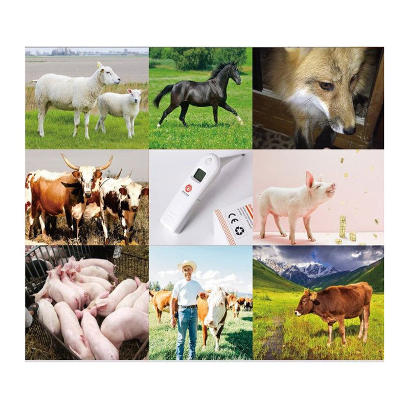 [Australia] - Animal Electronic Ehermometer Pet Thermometer Digital Thermometer is a Fast Rectal Thermometer for Dogs,Horse, Cats, Pigs,Sheep 