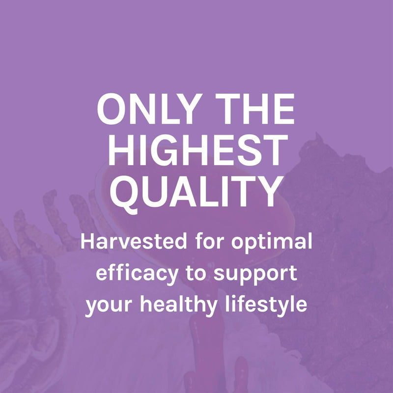 [Australia] - Host Defense, MycoBotanicals Brain Capsules, Promotes Concentration, Memory and Cognitive Function, Mushroom and Herb Supplement, Unflavored, 60 Standard Packaging 