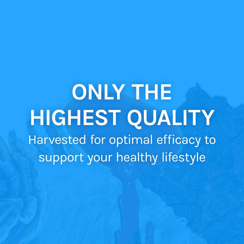 [Australia] - Host Defense, Breathe Capsules, Respiratory Support, Mushroom Supplement with Cordyceps, Reishi and Chaga, Unflavored, 60 60 Count (Pack of 1) Standard Packaging 