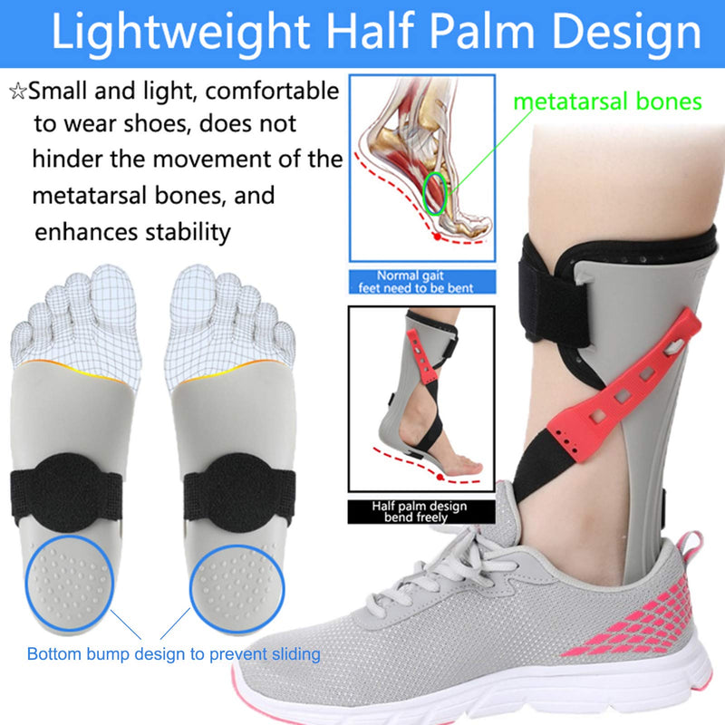 [Australia] - Ankle Foot Orthosis Support AFO Brace Foot Drop Orthosis Stroke Hemiplegia Rehabilitation Equipment Foot Varus Correction Shoes Foot Fracture Fixed Foot Support(Right/L) Right Large 