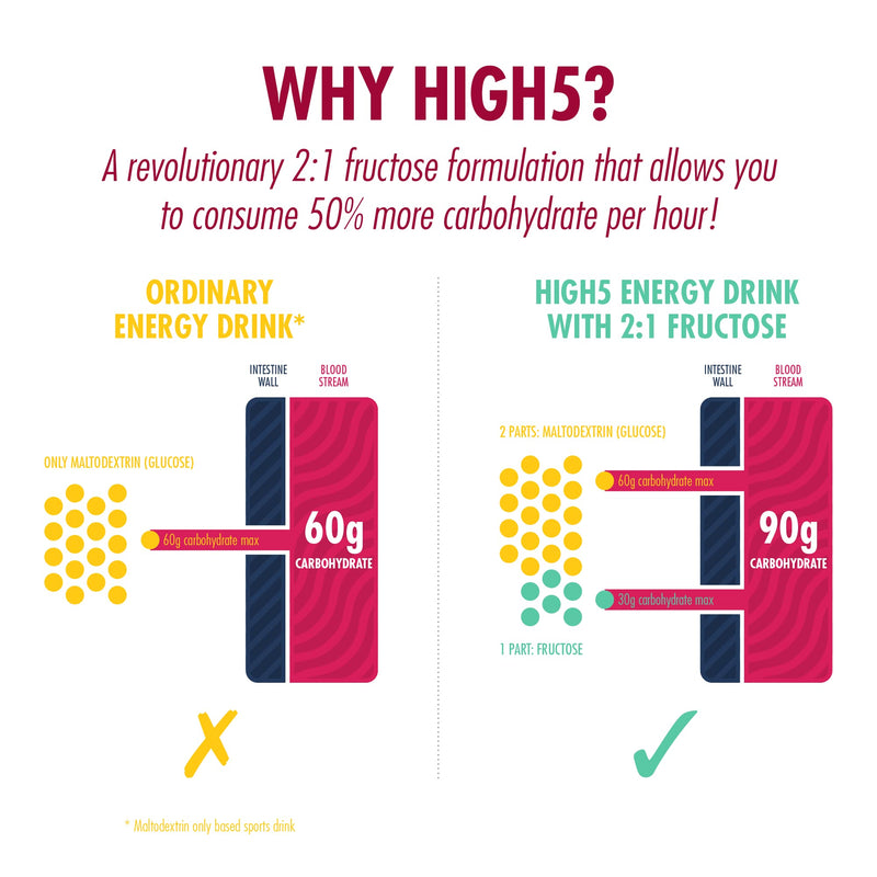 [Australia] - HIGH5 Energy Hydration Drink Refreshing Mix of Carbohydrates and Electrolytes (Berry, 12 x 47g) Berry 47 g (Pack of 12) 