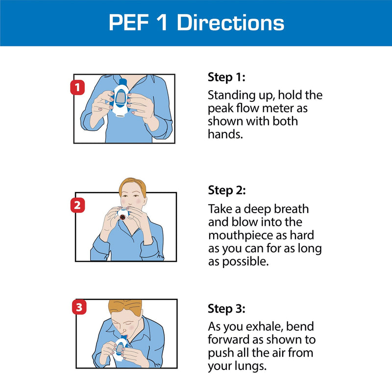 [Australia] - Microlife Peak Flow Replacement Mouthpieces, 3-Pack 