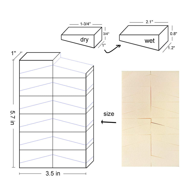 [Australia] - Makeup Sponge Blenders Cosmetic Wedges 48 Count (24count / 2pack) 2 Pack / 48 Count 