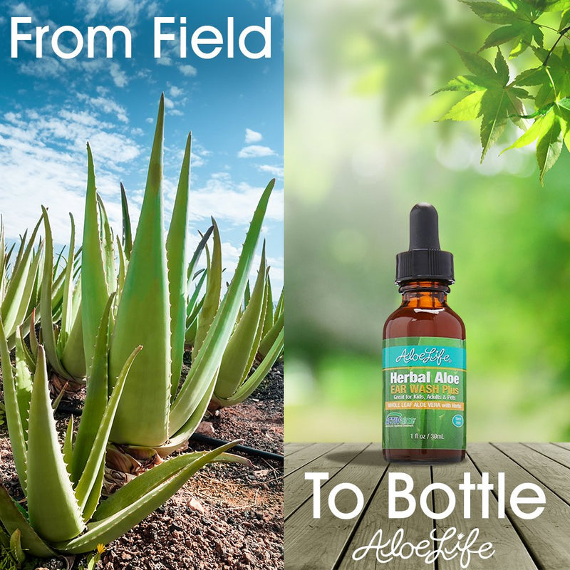 [Australia] - Aloe Life - Herbal Aloe Ear Wash Plus, Provides Soothing Relief for Ear Irritations, Swimmer’s Ear, Discomfort & Itchy Ears, Whole Leaf Aloe Vera with Herbs, Safe for Animals, Includes Dropper (1 oz) 