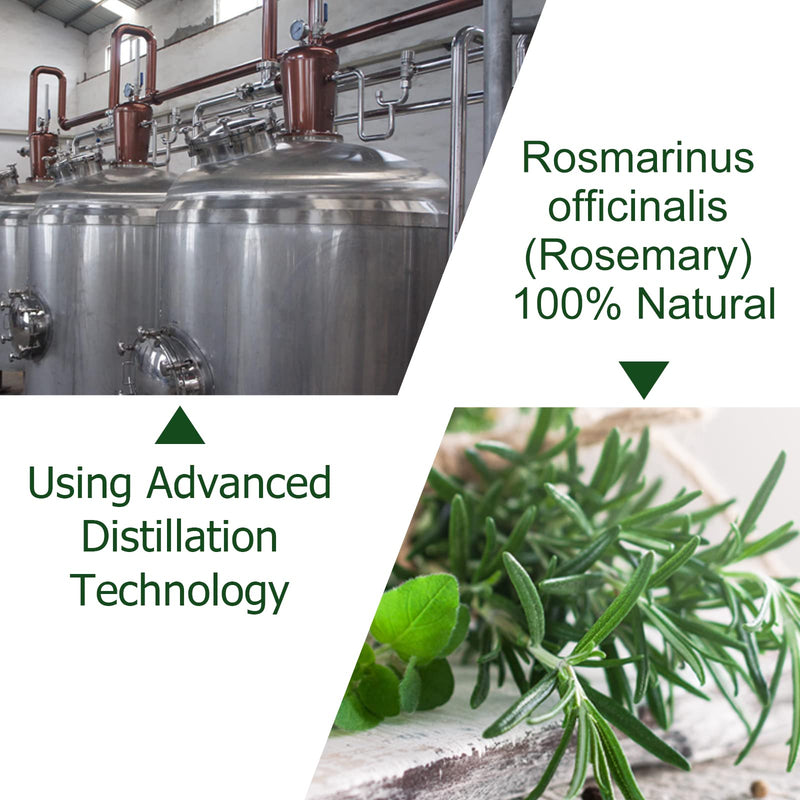 [Australia] - Rosemary Hair Growth Oil, Rosemary Essential Oil, Rosemary Oil for Hair Growth | Eyebrow and Eyelash Growth | Skin Care, 100% Pure Natural Hair Oil Serum, Stimulates Hair Growth, 60ml 
