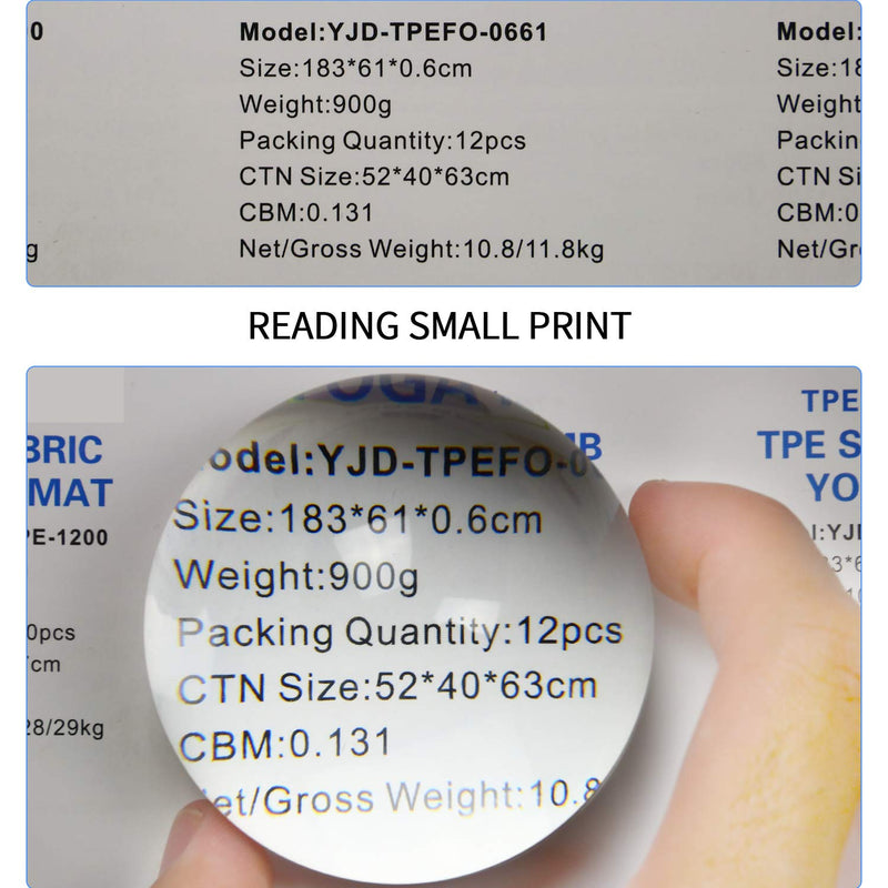 [Australia] - Dandelion 6X Dome / Paperweight Magnifier w/ Pouch Table Magnifying 