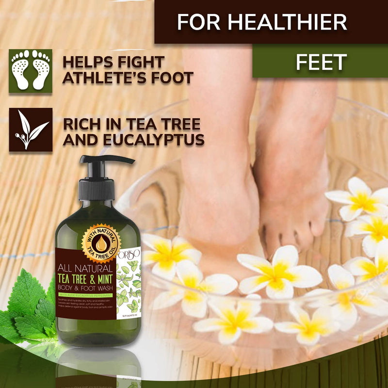 [Australia] - Tea Tree Body Wash with Mint for Women and Men - Antifungal - Helps Acne - Athletes Foot - Jock Itchy - Ringworm - Eczema - Body Odor - Itchy Skin - With Moisturizing Coconut and Aloe for Hydrating Sensitive Skin - 16oz 