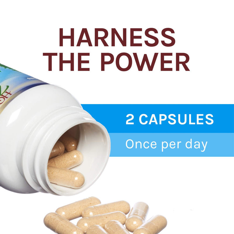 [Australia] - Host Defense, CordyChi Capsules, Helps Reduce Stress and Fatigue, Mushroom Supplement with Cordyceps and Reishi, Vegan, Organic, 120 Capsules (60 Servings) 120 Count (Pack of 1) Standard Packaging 