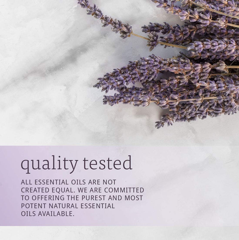 [Australia] - Now Essential Oils, Lavender Oil, 2 Fl. Oz (Pack of 1) 