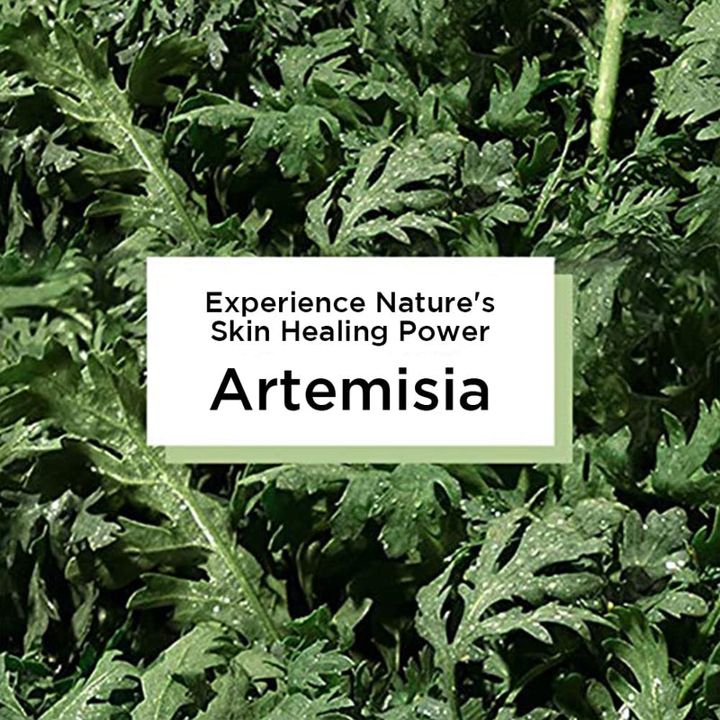 [Australia] - BRING GREEN Artemisia Calming Repair Cream 75ml - Redness Relief Skin Soothing & Moisturizing Facial Cream, Mild Salicylic Acid Natural Ingredients Skin Care, for Senstive & Damaged Skin 