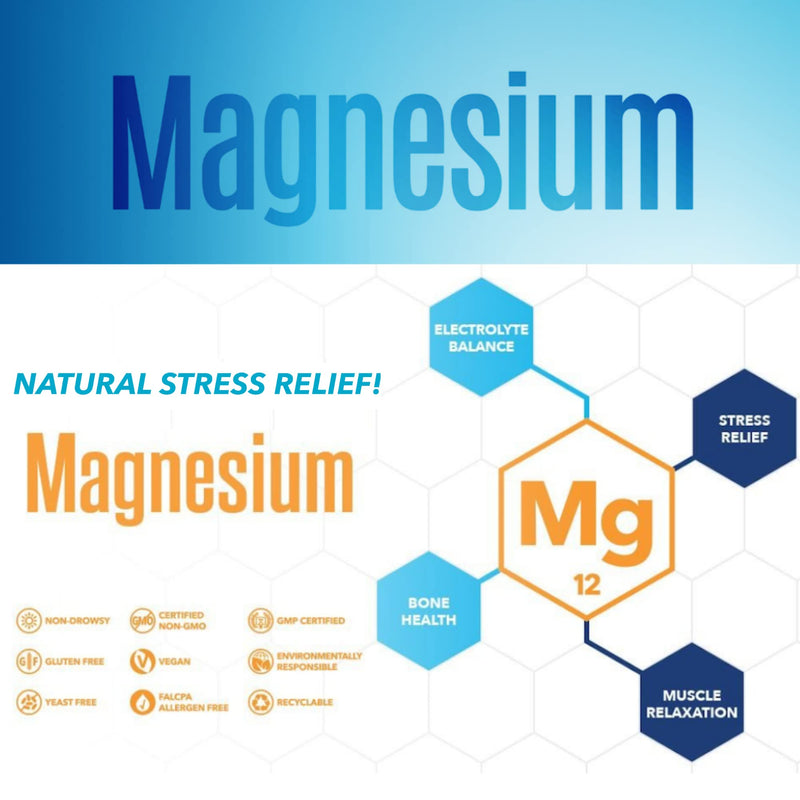 [Australia] - NaturesPlus Magnesium Nighttime - Magnesium Glycinate and Taurate Supplement with L-Theanine, Ashwagandha, Lemon Balm, B6, Hops - Vegan, Gluten Free - 60 Capsules 