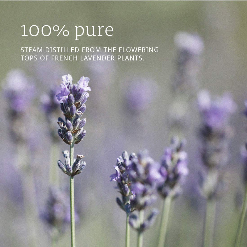 [Australia] - NOW Essential Oils, Lavender Oil, Soothing Aromatherapy Scent, Steam Distilled, 100% Pure, Vegan, Child Resistant Cap, 4-Ounce 4 Fl Oz (Pack of 1) 